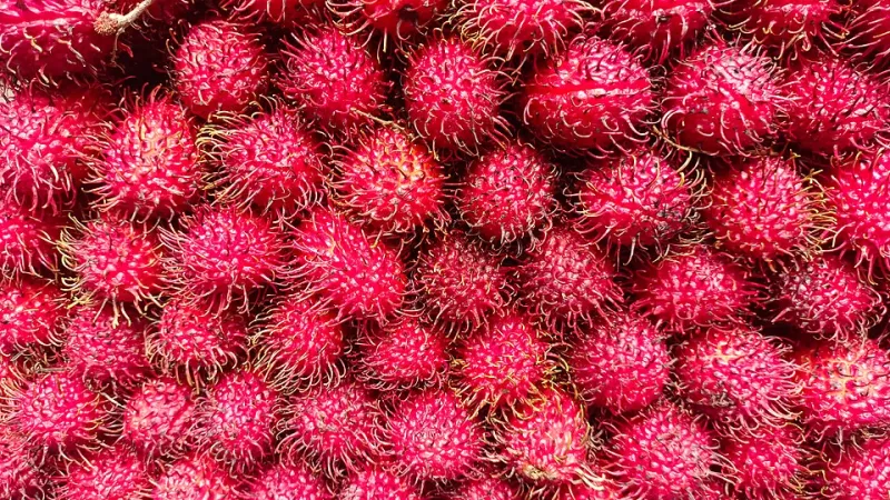 Rambutan di Whole Foods dan Durian di TikTok: Bagaimana Buah Tropis Indonesia Mencuri Hati Generasi Z Amerika